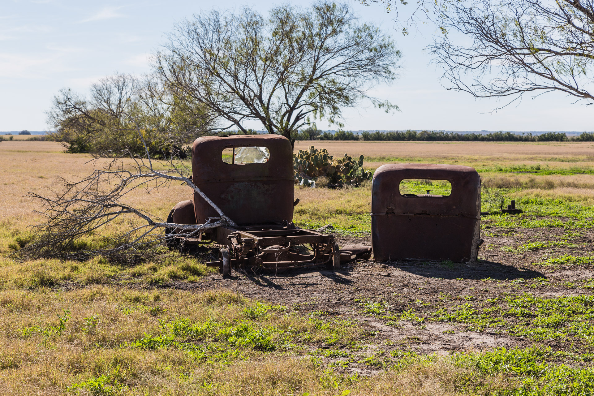 Rusty Vintage Trucks (back mid)