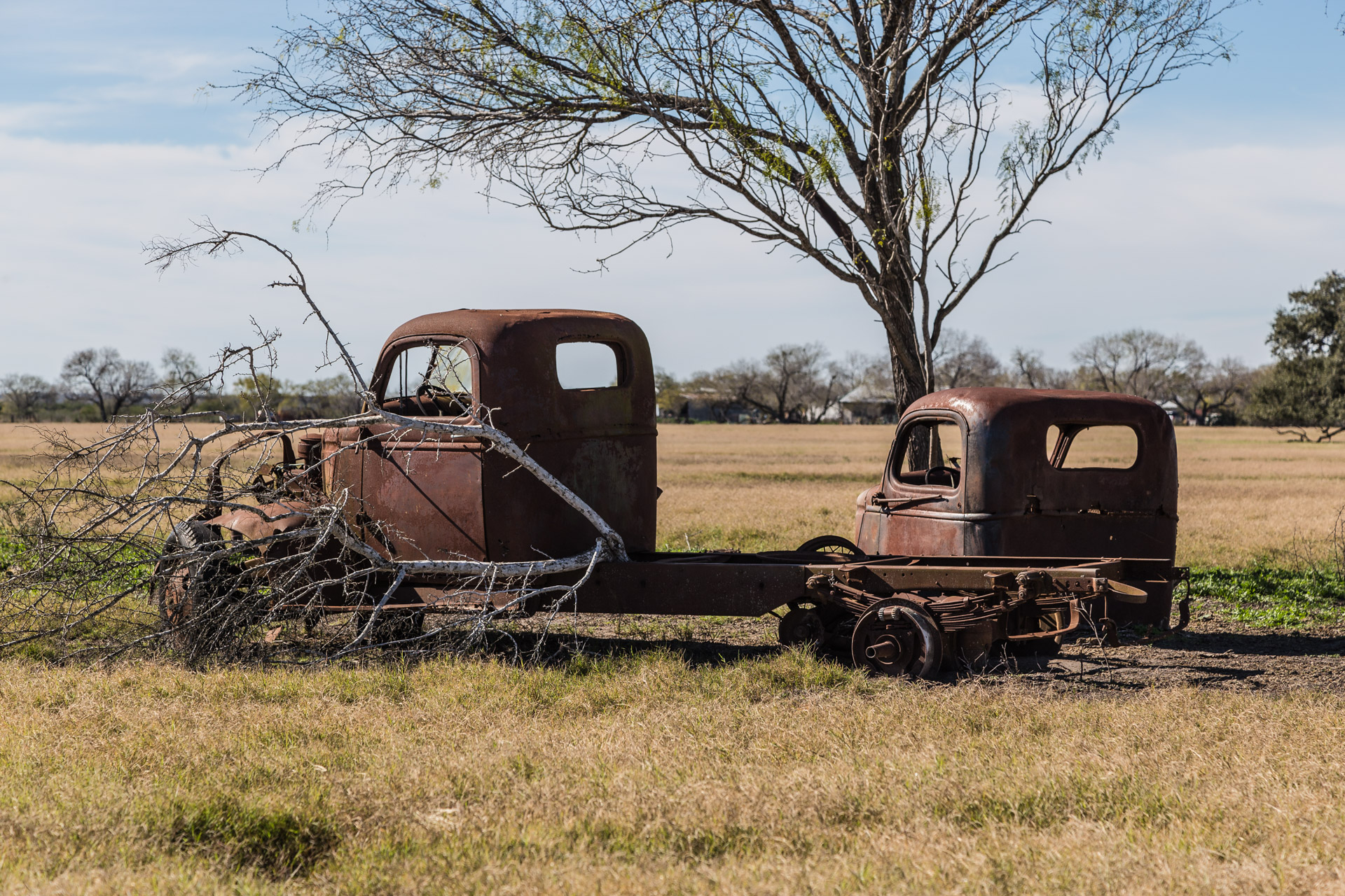 Rusty Vintage Trucks (side branch close)