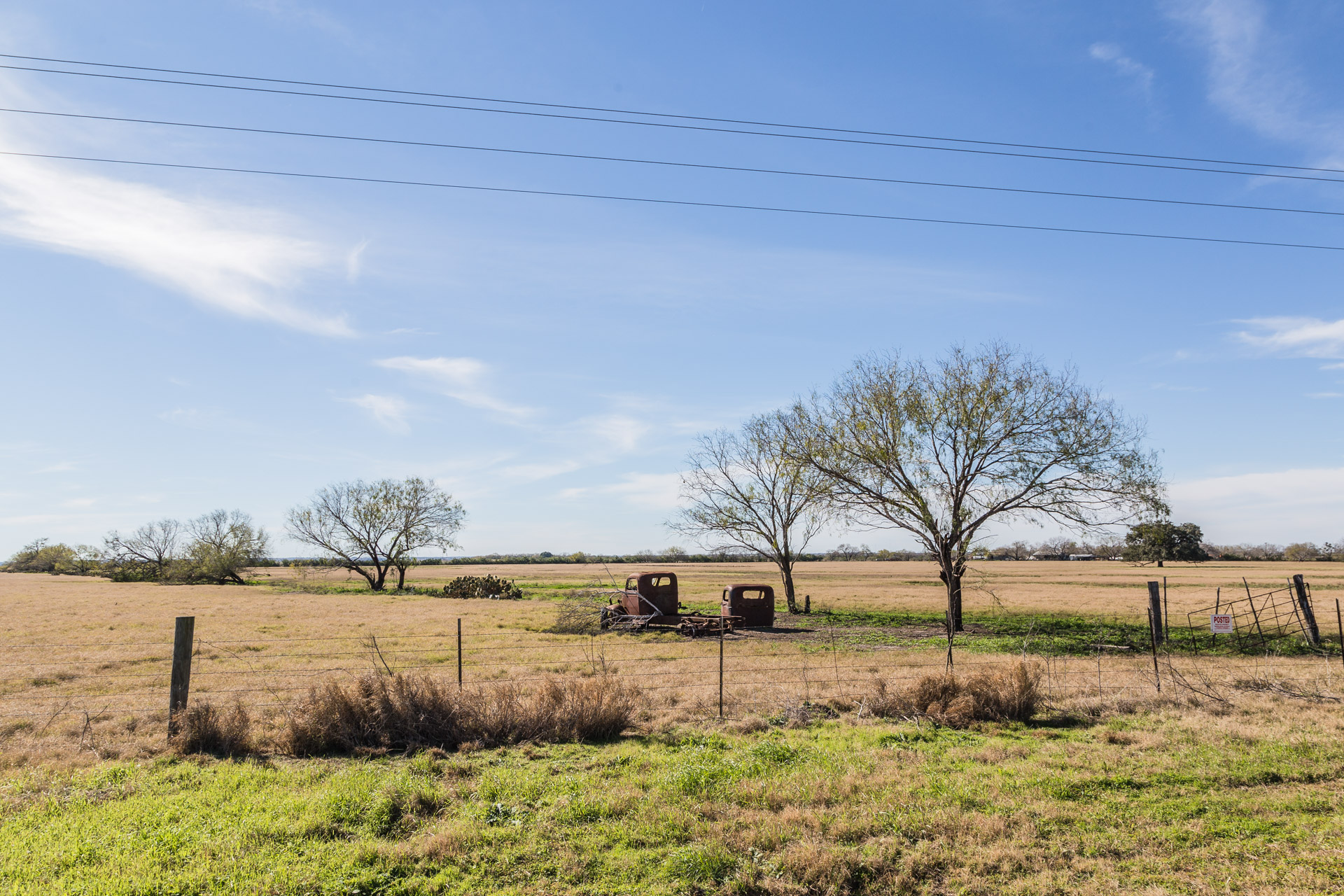 Rusty Vintage Trucks (side far)