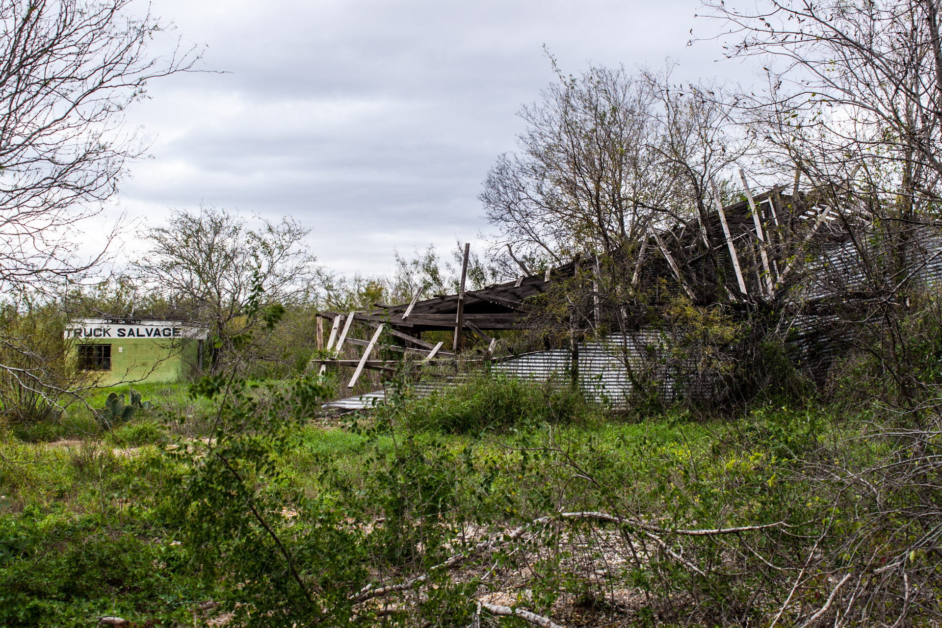 Pearsall, Texas - The Lime Green Salvage Yard (truck far)