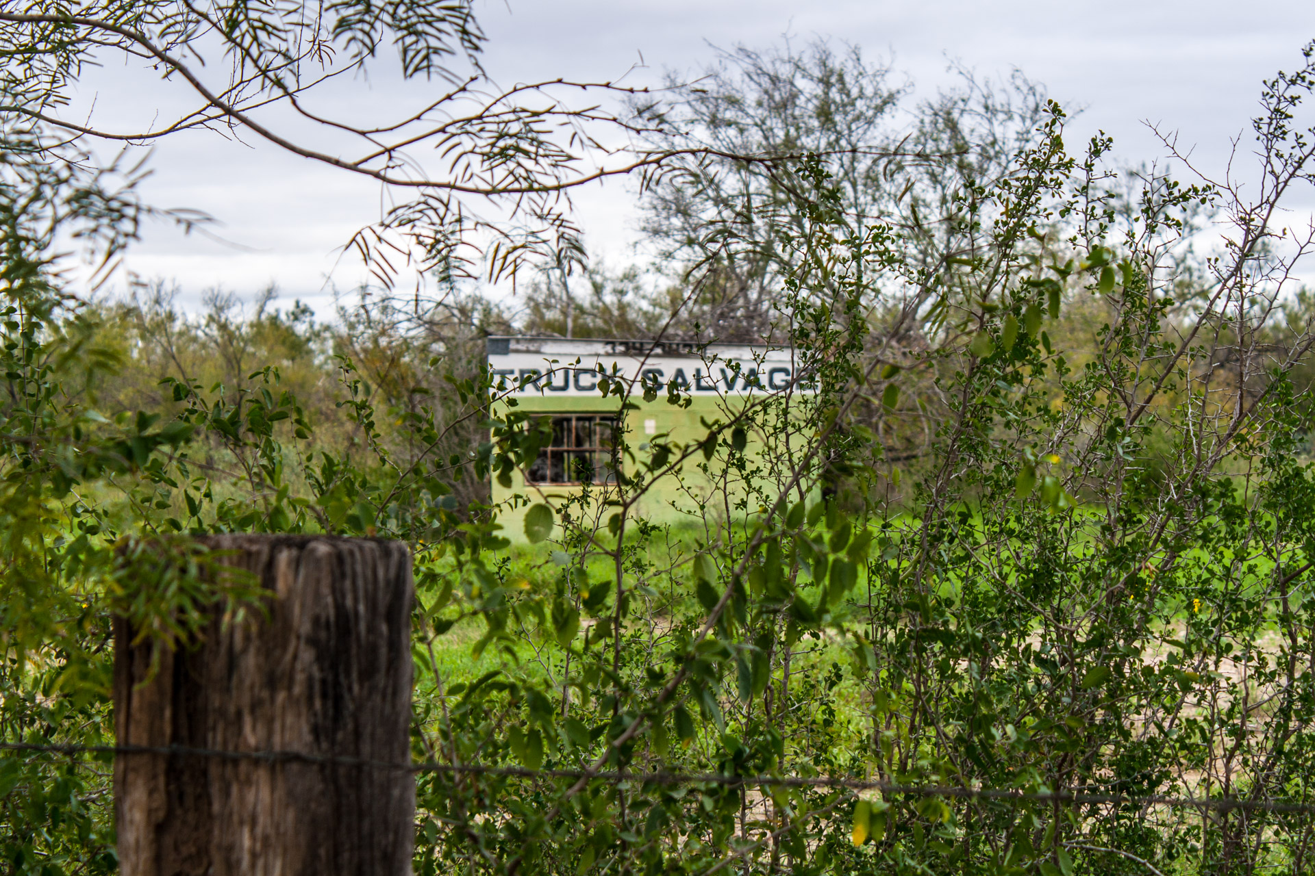 Pearsall, Texas - The Lime Green Salvage Yard (truck hidden)