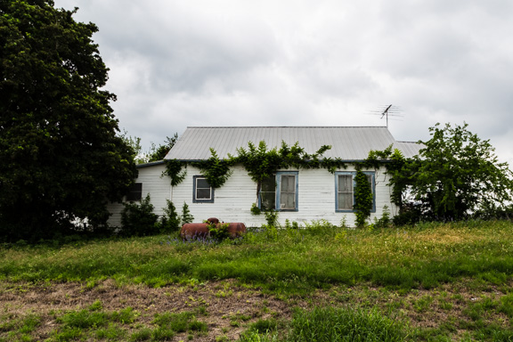 Westhoff, Texas - Wall Greenery